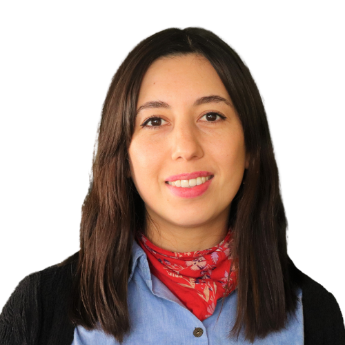 Psicóloga en línea: Tania Melissa Loyola Hermosilla